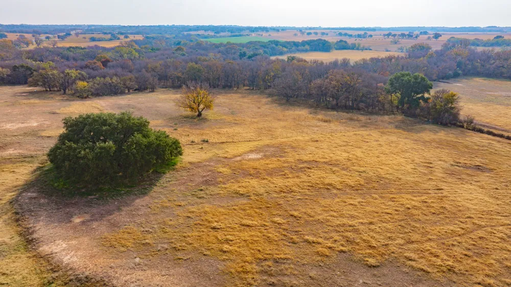 7450 E Hwy 6 De Leon, TX 76444