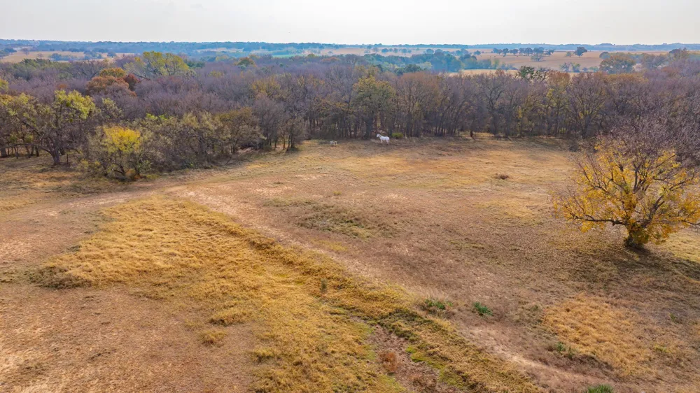7450 E Hwy 6 De Leon, TX 76444