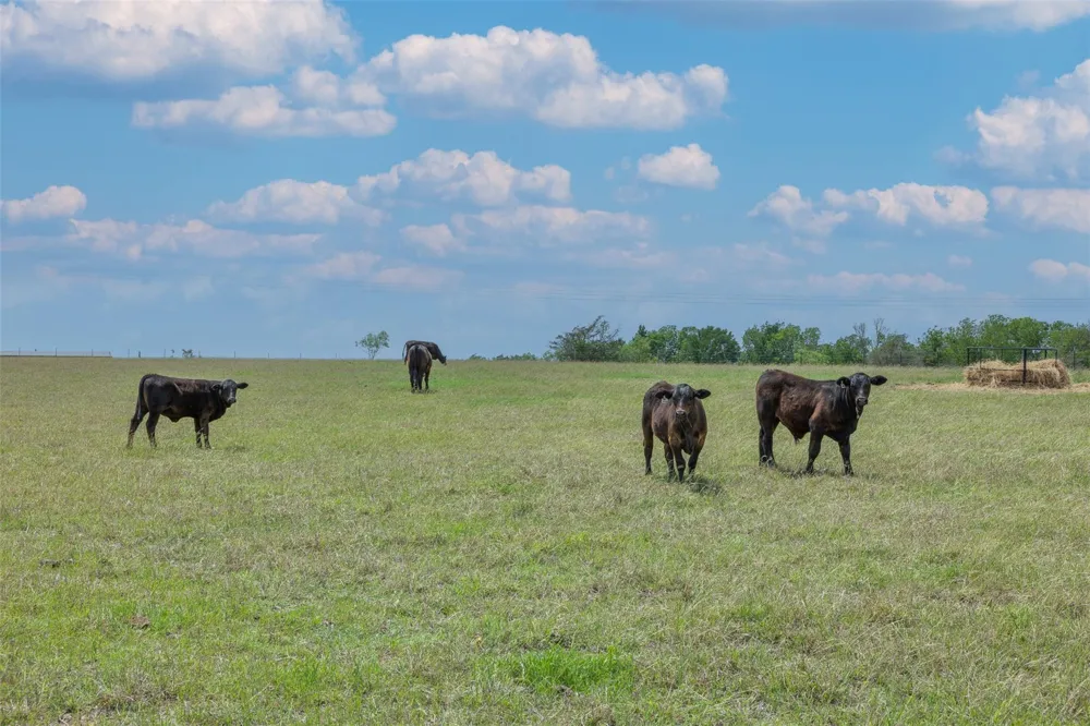 2232 Fm 975 Caldwell, TX 77836