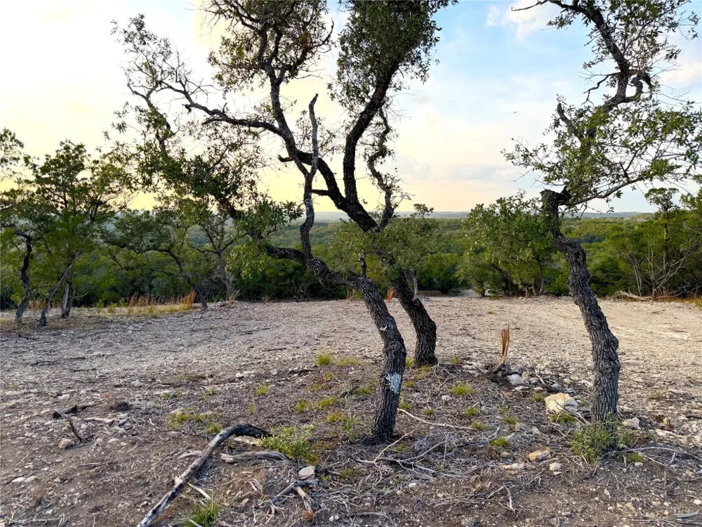 100 Cranes Mill North Road Canyon Lake, TX 78133