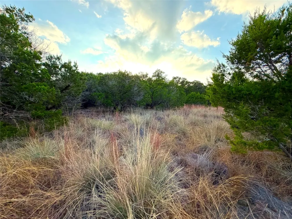 100 Cranes Mill North Road Canyon Lake, TX 78133