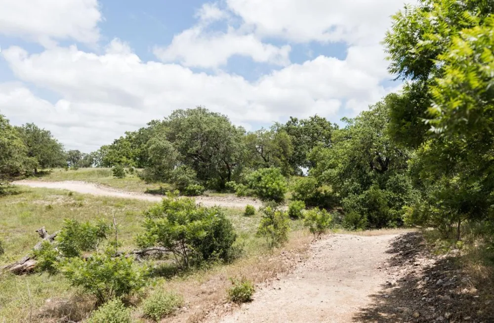 501 Jacaranda Court Liberty Hill, TX 78642