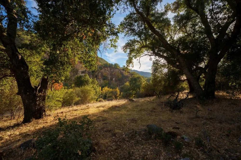 47275 Arroyo Seco Road Greenfield, CA 93927
