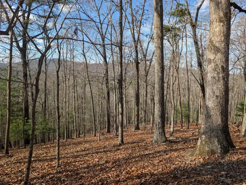 902 Mountain Top Drive