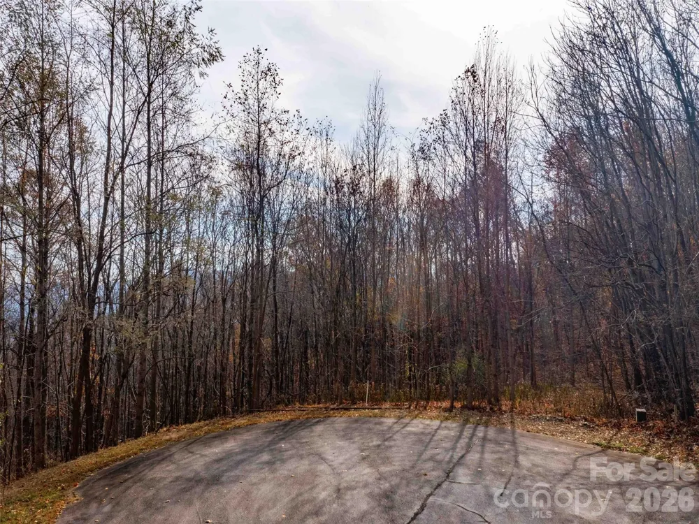 242 Nottingham Drive Mill Spring, NC 28756