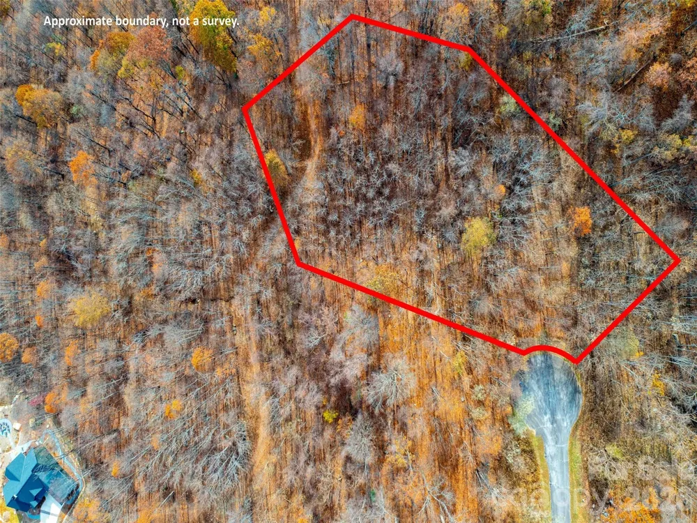 242 Nottingham Drive Mill Spring, NC 28756