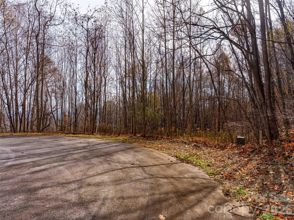 242 Nottingham Drive Mill Spring, NC 28756