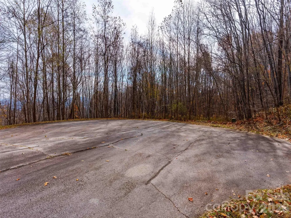 242 Nottingham Drive Mill Spring, NC 28756
