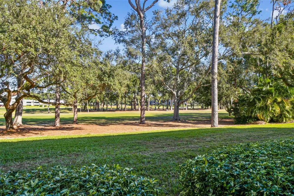 36750 US HIGHWAY 19 #08111 Palm Harbor, FL 34684