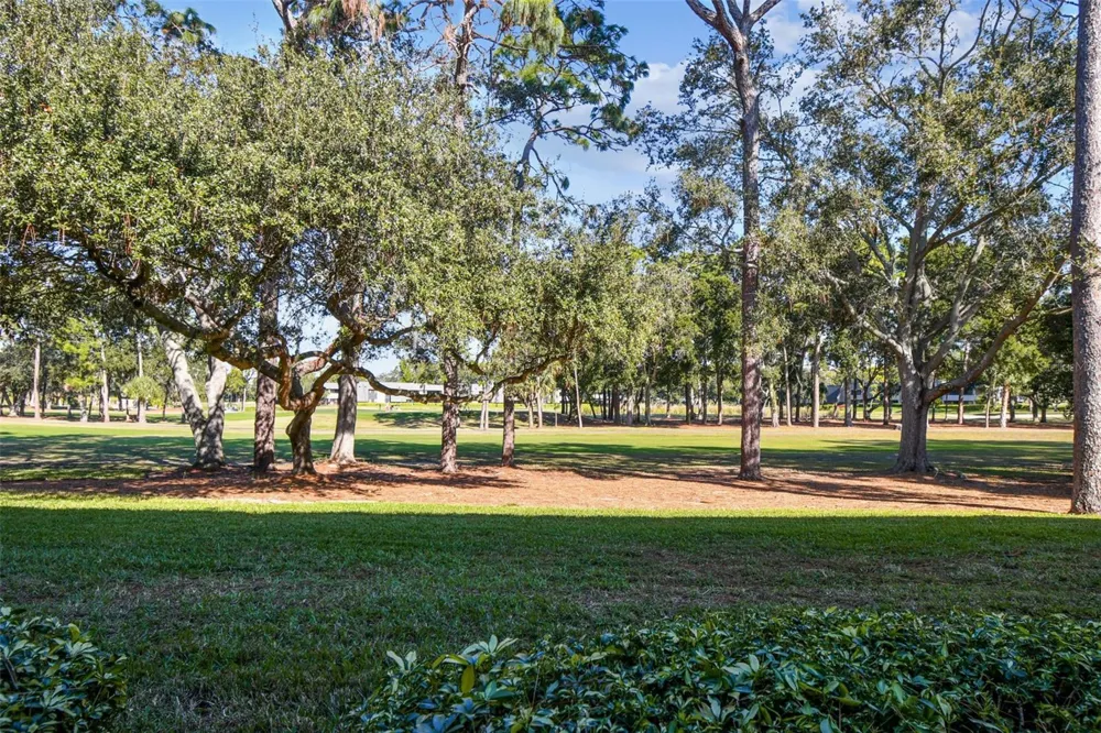 36750 US HIGHWAY 19 #08111 Palm Harbor, FL 34684