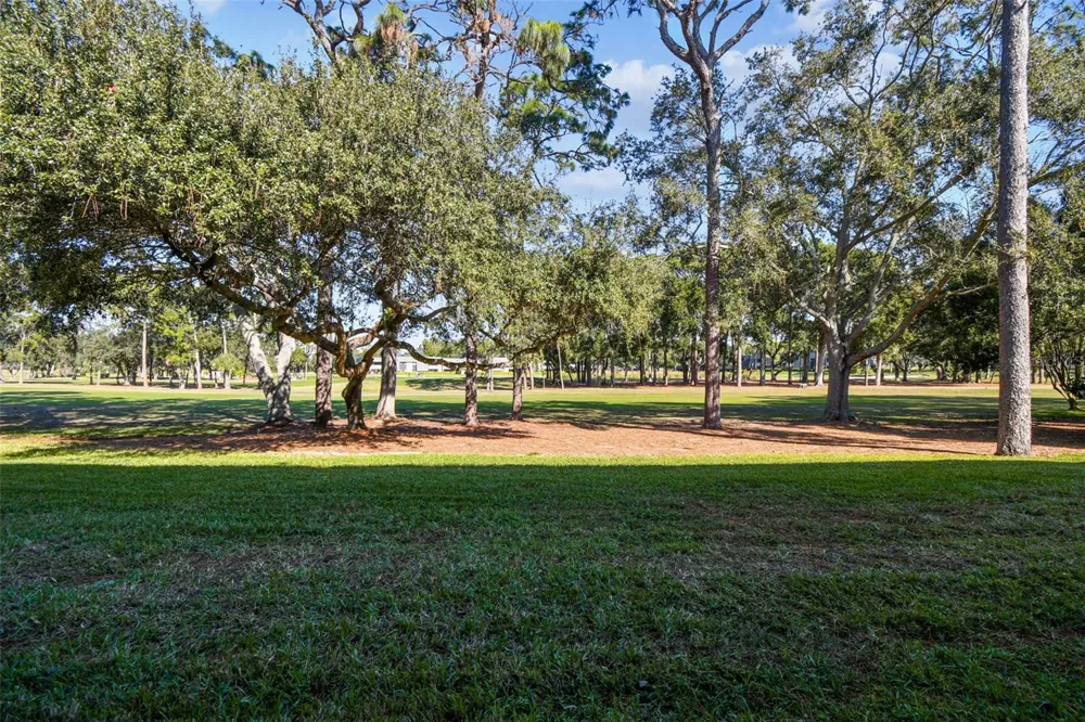 36750 US HIGHWAY 19 #08111 Palm Harbor, FL 34684