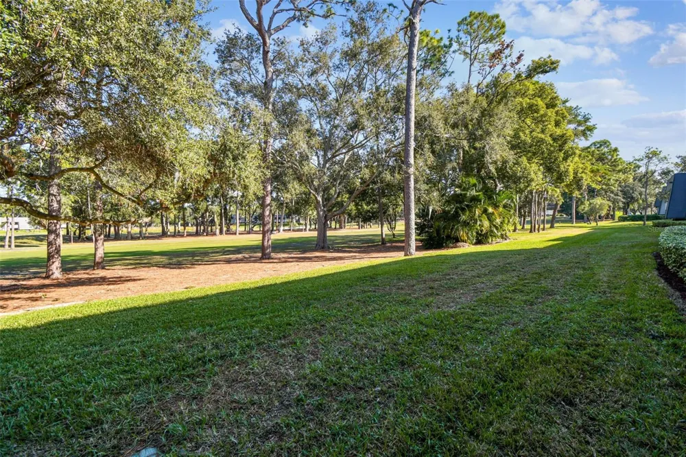 36750 US HIGHWAY 19 #08111 Palm Harbor, FL 34684
