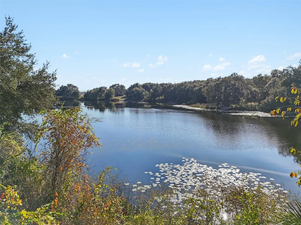 13400 COUNTY ROAD 450 Umatilla, FL 32784