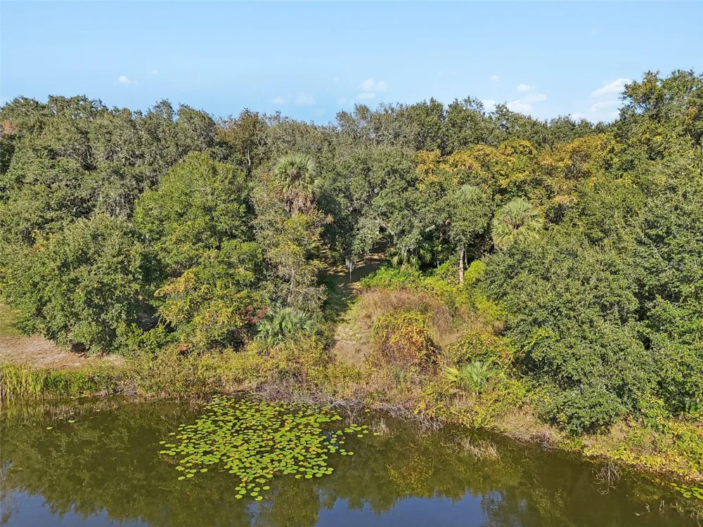 13400 COUNTY ROAD 450 Umatilla, FL 32784