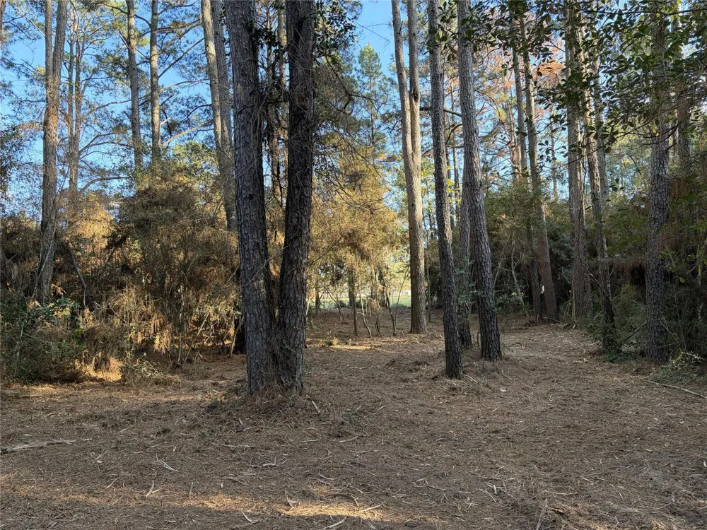 28655 Joseph Road Hockley, TX 77447