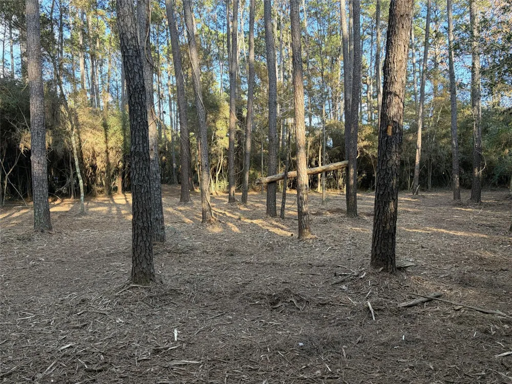 28655 Joseph Road Hockley, TX 77447