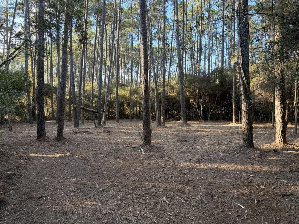 28655 Joseph Road Hockley, TX 77447