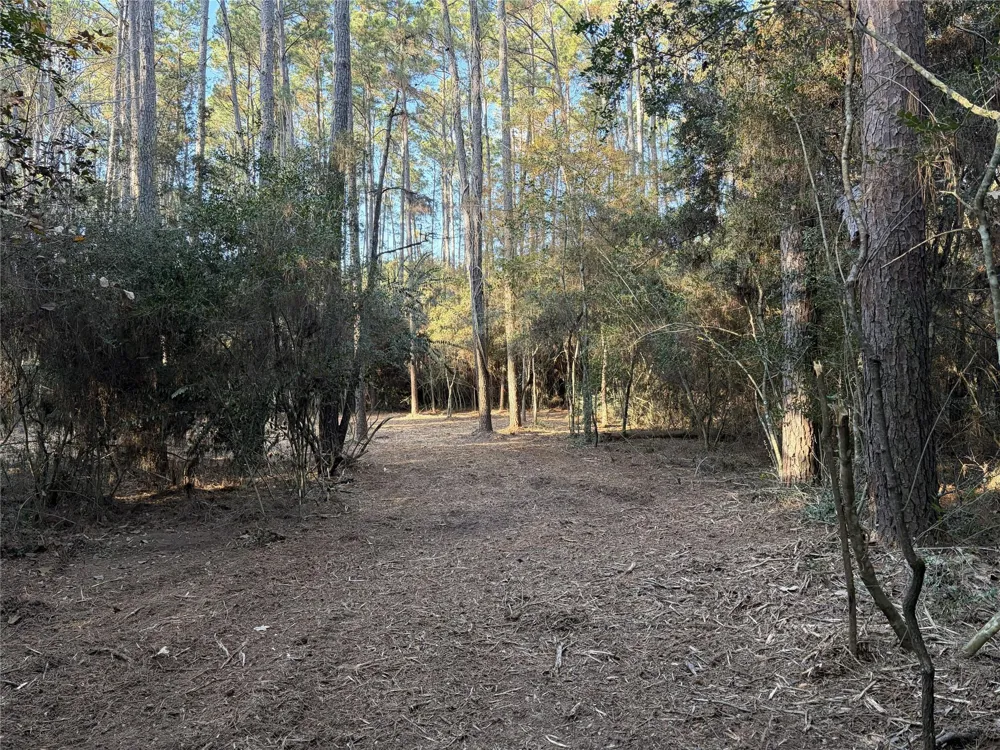 28655 Joseph Road Hockley, TX 77447