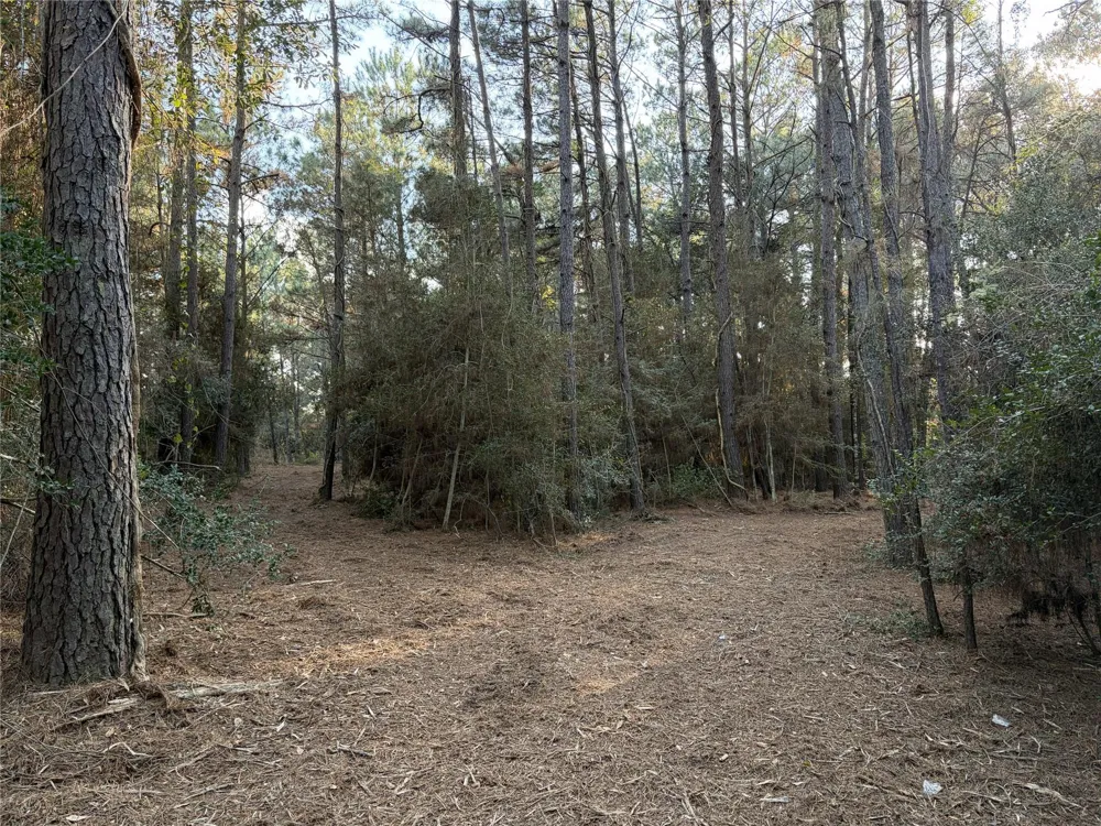 28655 Joseph Road Hockley, TX 77447