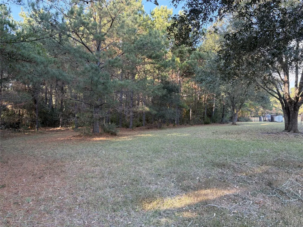 28655 Joseph Road Hockley, TX 77447