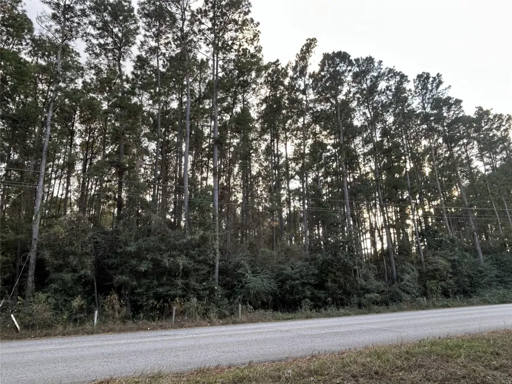 28655 Joseph Road Hockley, TX 77447