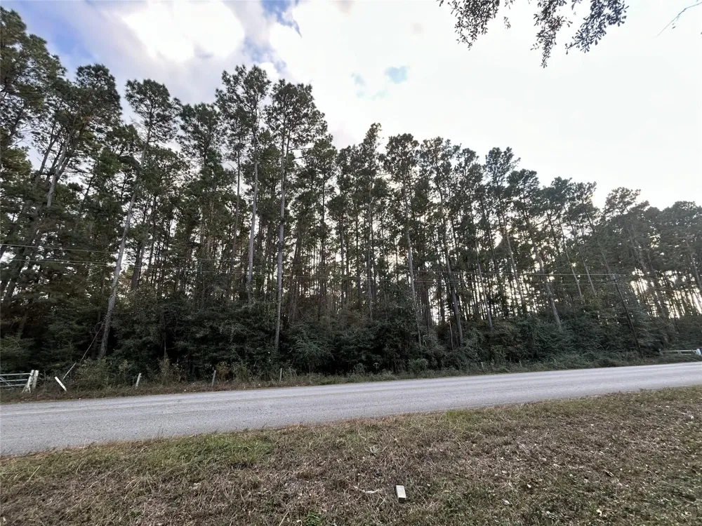 28655 Joseph Road Hockley, TX 77447