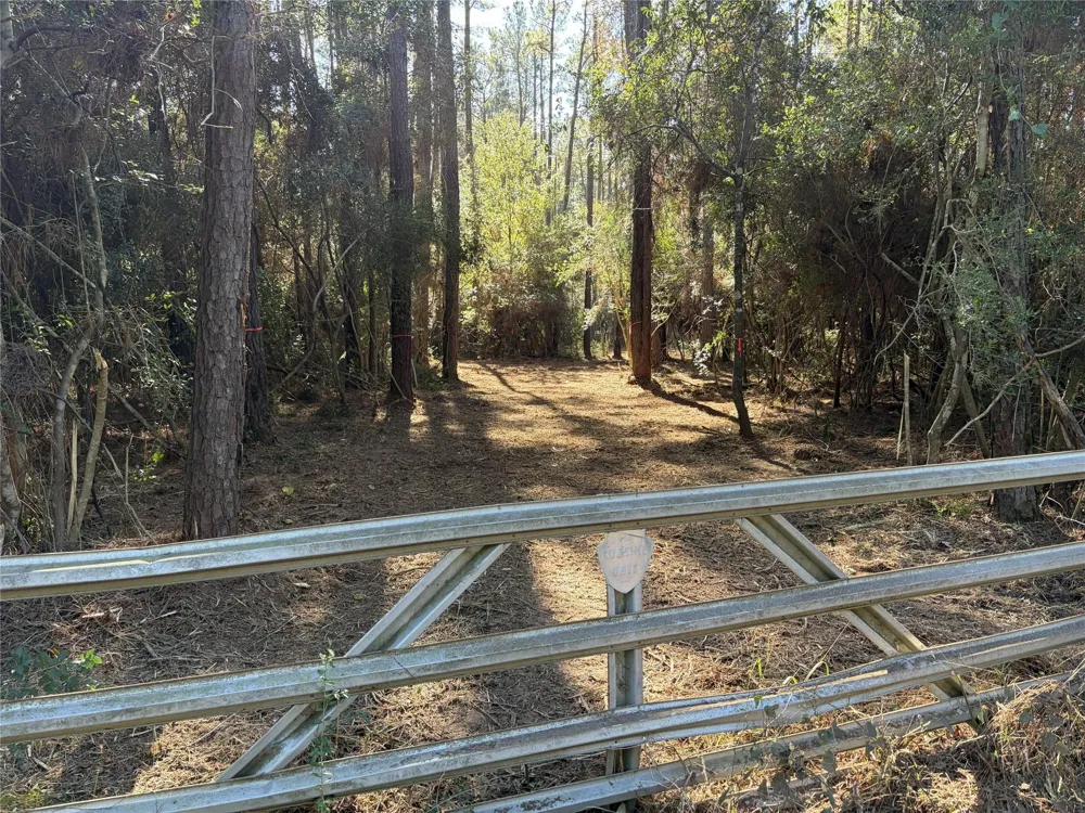 28655 Joseph Road Hockley, TX 77447