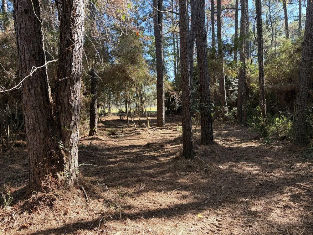 28655 Joseph Road Hockley, TX 77447