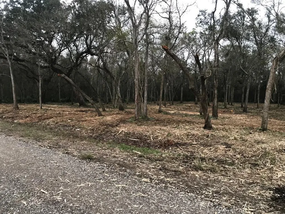 County Road 495 Brazoria, TX 77422