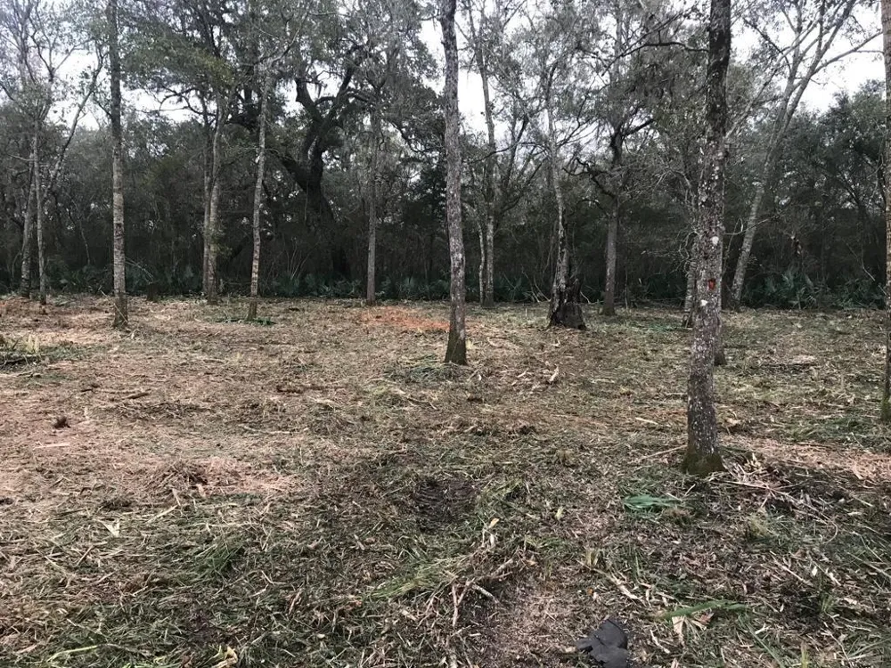County Road 495 Brazoria, TX 77422