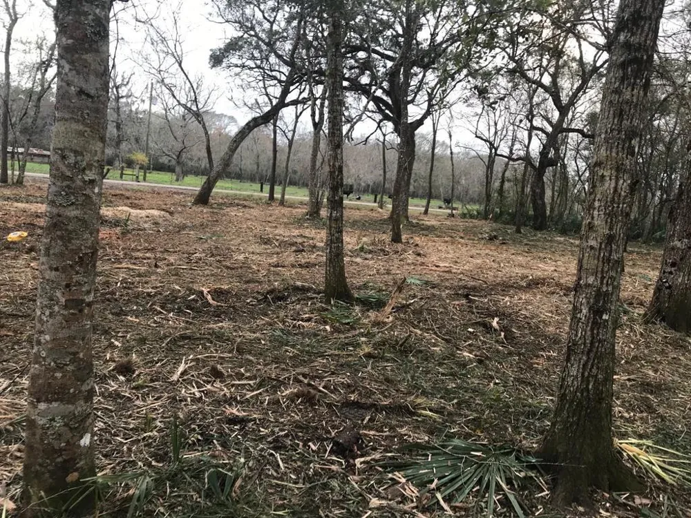 County Road 495 Brazoria, TX 77422