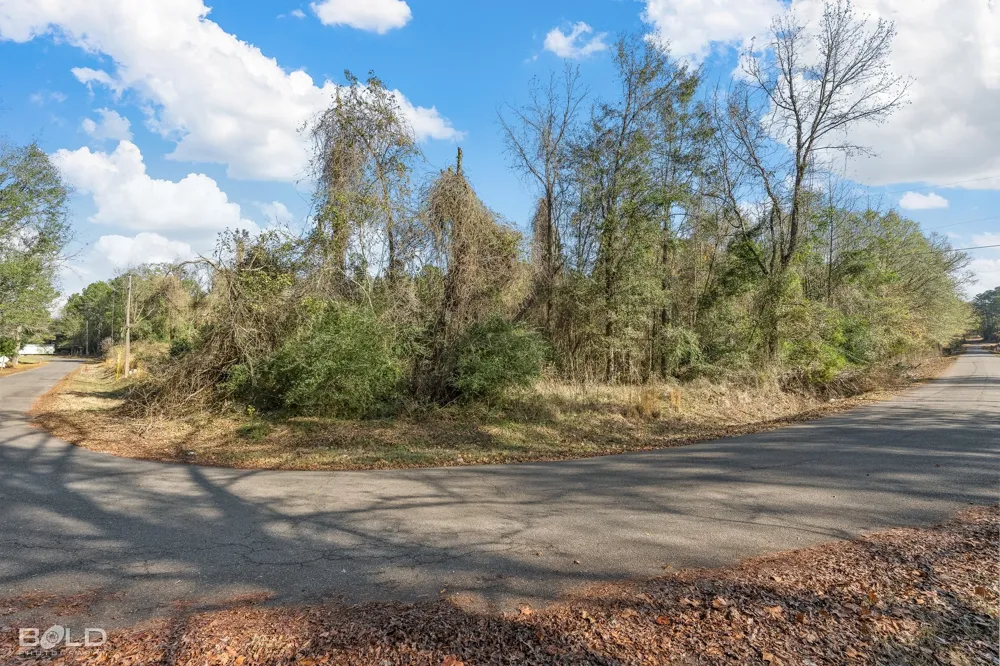 Mockingbird Lane Plain Dealing, LA 71064