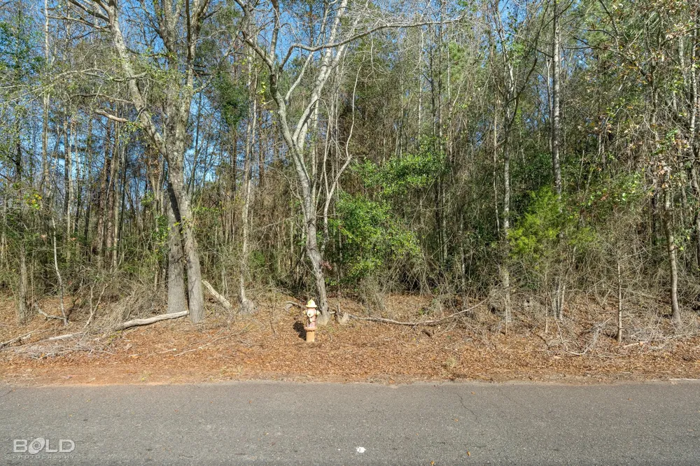 Mockingbird Lane Plain Dealing, LA 71064