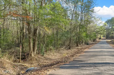 Mockingbird Lane
