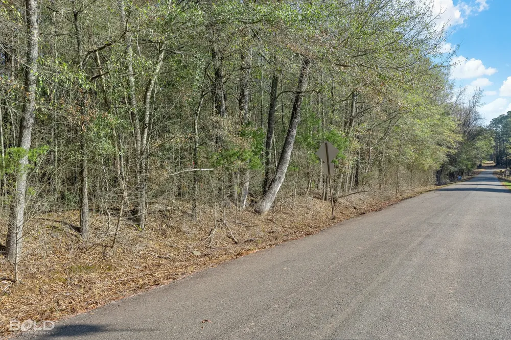 Mockingbird Lane Plain Dealing, LA 71064