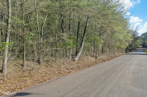 Mockingbird Lane