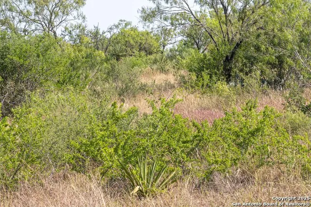 TBD Pittman Rd St Hedwig, TX 78152