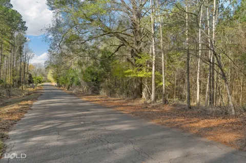 Mockingbird Lane
