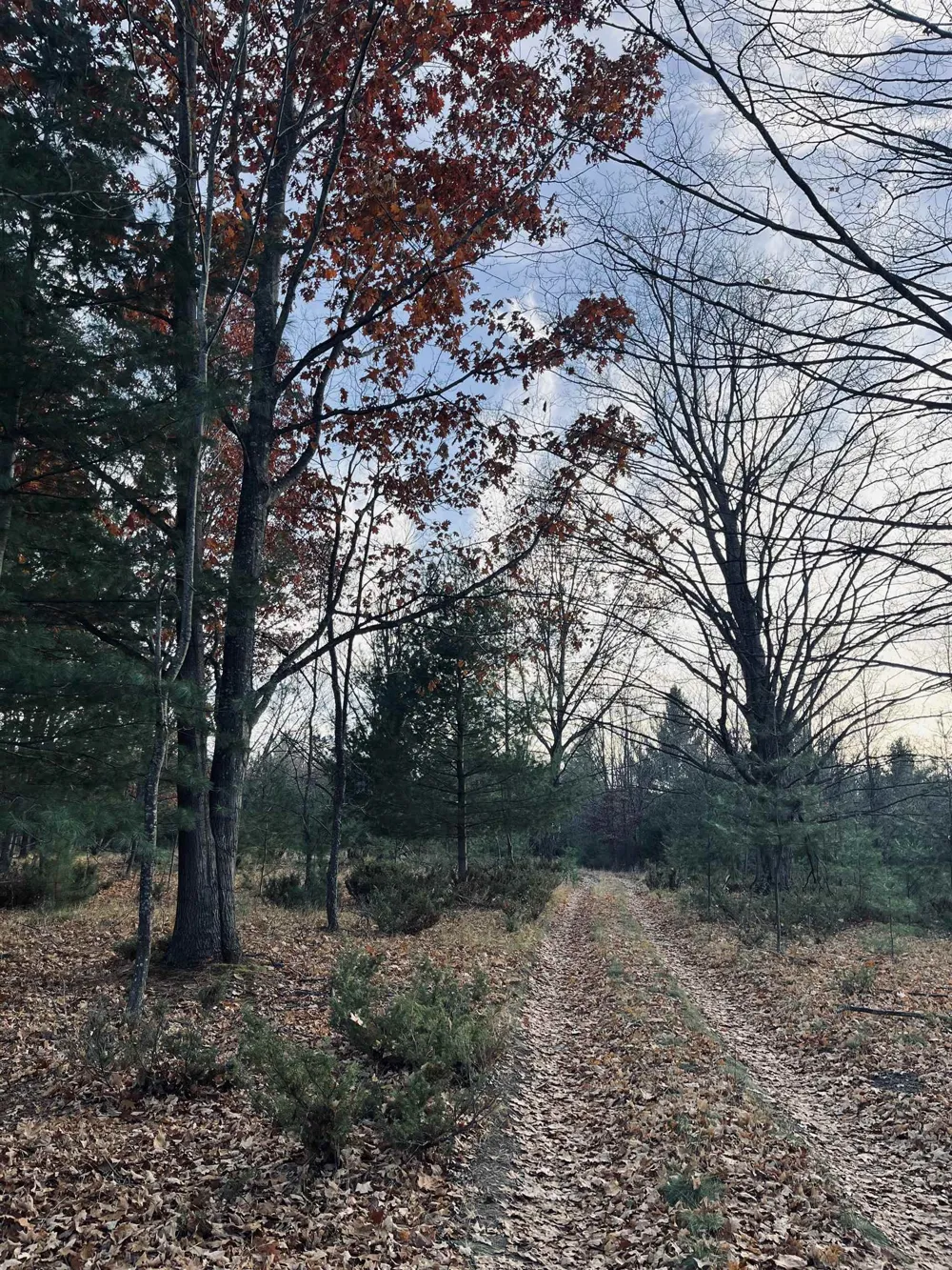 Bunker Hill Road Acme Township, MI 49690