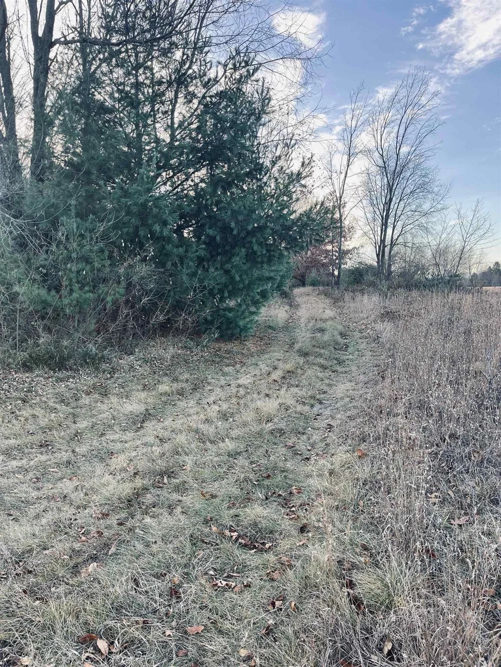 Bunker Hill Road Acme Township, MI 49690
