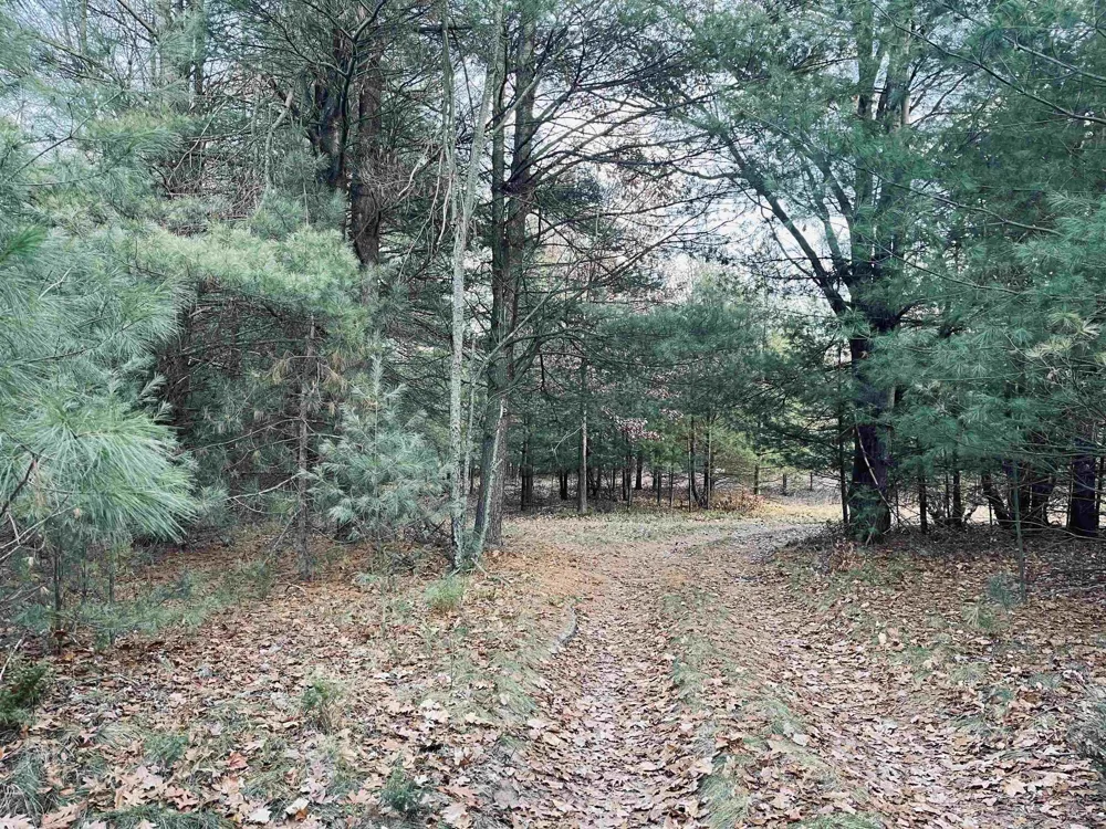 Bunker Hill Road Acme Township, MI 49690