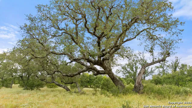 LOT 37 Vista Ridge Round Mountain, TX 78663