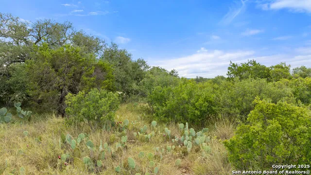 LOT 37 Vista Ridge Round Mountain, TX 78663