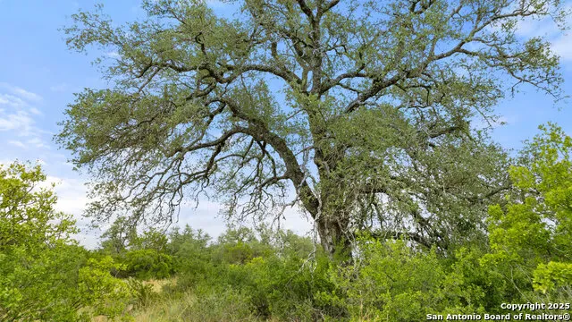 LOT 37 Vista Ridge Round Mountain, TX 78663