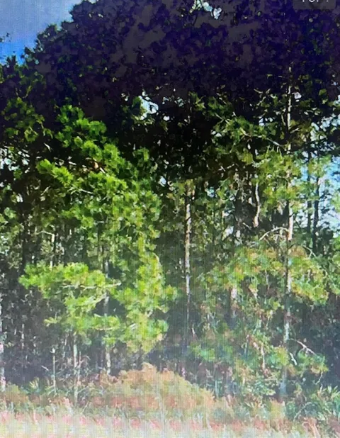 SW 194 ST, ARCHER,FL 32618 - O4462-011-000