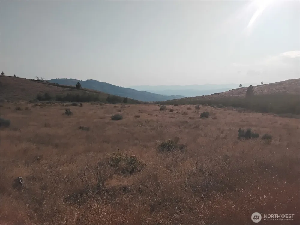6 Painted Rock Road Tonasket, WA 98855