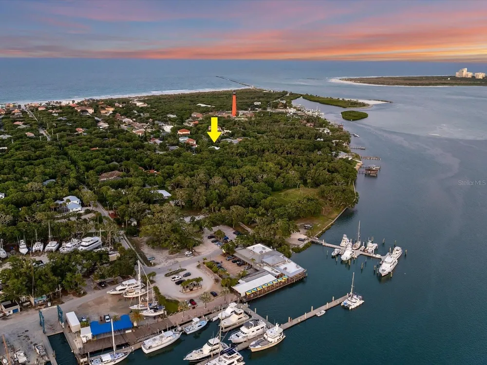 110 OCEAN WAY DRIVE Ponce Inlet, FL 32127