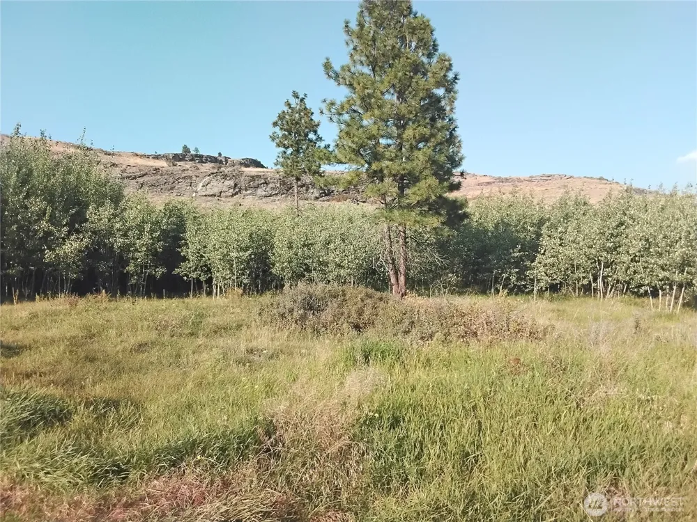 4 Painted Rock Road Tonasket, WA 98855