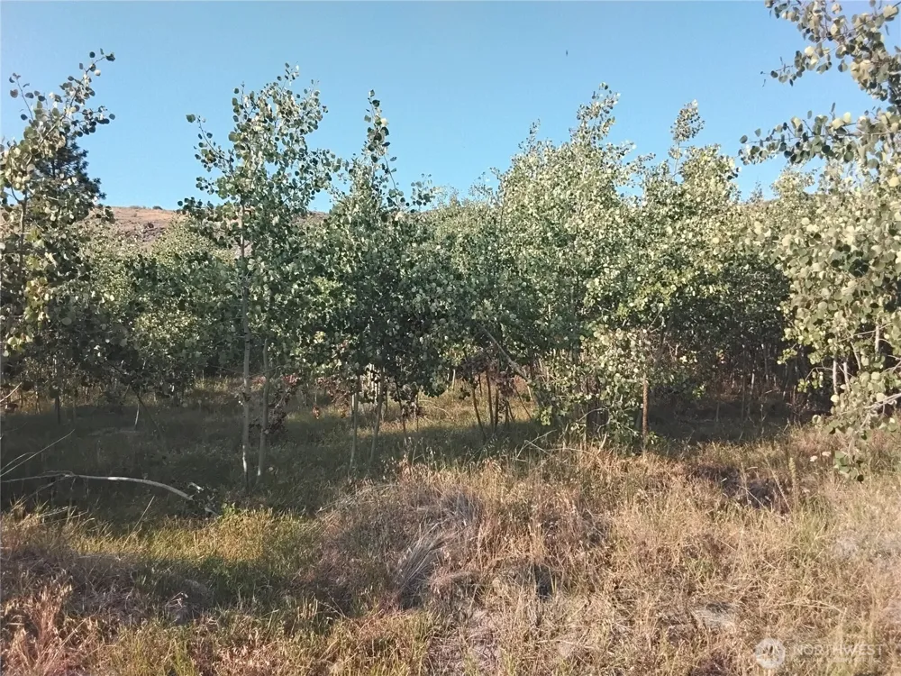 4 Painted Rock Road Tonasket, WA 98855