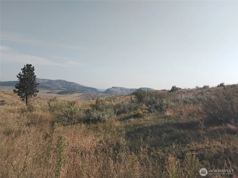 4 Painted Rock Road Tonasket, WA 98855